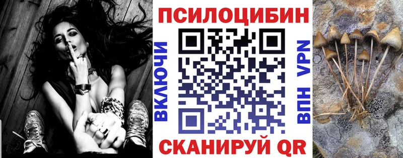 Псилоцибиновые грибы GOLDEN TEACHER  Купить где  Дорогобуж 
