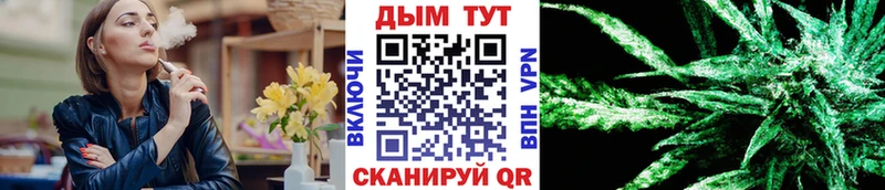 Конопля Bruce Banner  Купить  Дорогобуж 